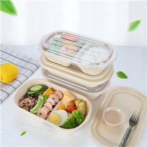 Kotak Bento Sekali Pakai Dengan Tutup
