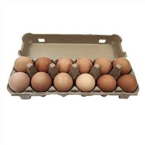 Telur Karton Dibentuk Pulp