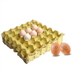 Kertas Pulp Telur Baki Produsen