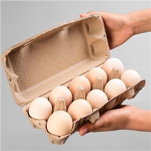 Dicetak Karton Telur Pulp Alami