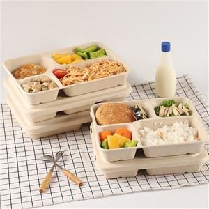 Wadah Makanan Sugarcane Bagasse