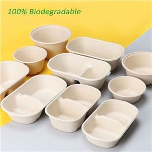 Kotak Makan Siang Sekali Pakai Biodegradable