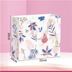 Tas Hadiah Kertas Cetak Kustom